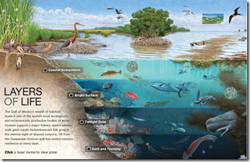 Homeschool 4 Muslims: Wednesday Weekly Website – Layers of Life